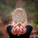 분노조절 지도사 이미지