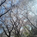 커브스 동백클럽 이미지