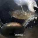 남도나주곰탕 이미지