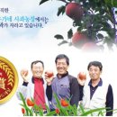 청송시장식품 이미지