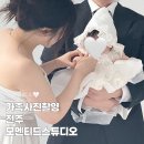 모멘티드 네이버블로그