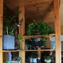 예전추어전문점 이미지