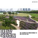 태화강국가정원 이미지