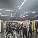 용인대BEST체육관 이미지