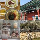 완산-69 | 전주여행 1박2일 뚜벅이 코스 놀거리 가볼만한곳 추천 (한옥마을, 전주동물원, 전주난장)