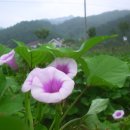 봉선농장 이미지