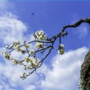 김해건설공업고등학교 이미지