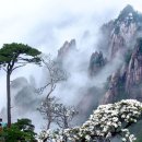 청산화원 - 원주시 갈촌길 1 | 청산화원