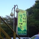 산너머 남촌 민박 Daum카페