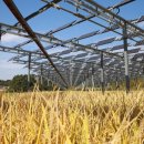 쿠키 태양광발전소 이미지