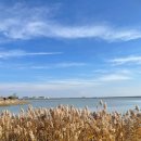 씨유 보라매뷰점 | 인천 | &#39;네스트 호텔&#39; 호캉스 후기