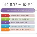 SHOW-K SPORTS BASEBALL 엘리트 선수 레슨 프로그램 이미지