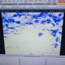 죽전동물병원 이미지