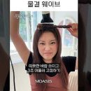 모아시스