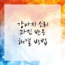 The행복한동물병원 | 소리에 민감한 우리 강아지, 송파 동물병원 해결법 찾자