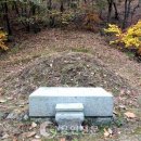 이사주당 유한규묘 이미지