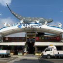 주문진 수산 이미지