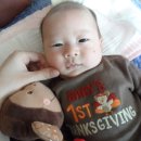 내사랑똥강아지 이미지