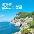 신기항관광안내소 | 여수 금오도 여행 배편 선착장 정보 및 비렁길 풍경