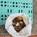 동대구초교 병설유치원 이미지