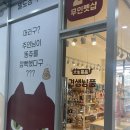 견생냥품 무인24시 안성 공도점 | 안성 공도 24시 무인 펫숍 견생냥품 강아지, 고양이 용품점
