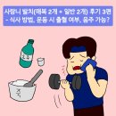 피다물류 | 사랑니 4개 발치 후기 3편 | 식사 방법, 음주, 운동 가능 여부 [매일운동 286일차]
