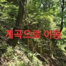 3곳 목청수색 답사 산행?68 (14일째 못봄) 이미지