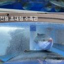 일도횟집