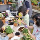 오호초등학교 이미지