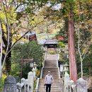 쌍계사대웅전 | 경남 하동 가볼만한곳 쌍계사 입장료 주차장