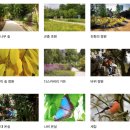 큰바위가든 | 네덜란드 위트레흐트 | 위트레흐트 보타닉 가든 방문 후기 Utrecht Botanic Gardens