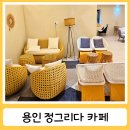 함박이네 애견샵 | 용인 처인구카페 정그리다 글램핑 가능 애견놀이터 있음