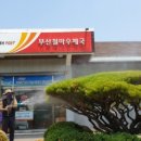 철마우체국 네이버블로그