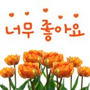 봄날앤