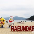 해운대관광안내소 이미지