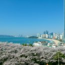 (주)나라부동산중개법인 이미지