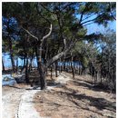 일소목장 이미지