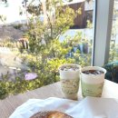 숨숨집당진 | [충남/당진] 포레스트 : 분위기 좋은 대형 당진카페