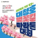 2024 대청호 벚꽃길 마라톤 대회 이미지