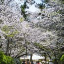 제황산모노레일 이미지