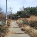 우면산5-14 이미지