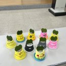 칠곡경북약국 | &lt;칠곡도서관 힙팟(미니화분)출강 후기&gt;