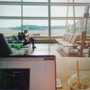 경★축 작성 미룬지 1주년 / 작년에 간 태국 방콕 7박 8일 여행기 (1)