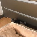 남매목장 이미지