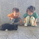 성지골추어탕 이미지