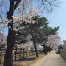 영강체육공원길 이미지