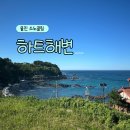 동해지방해양수산청 | 울진 하트해변 스노쿨링 위치 주차 성게 해루질 후기