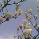 구.교하중 이미지