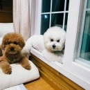 플란다스 펜션 이미지