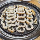 싱싱장어 이미지